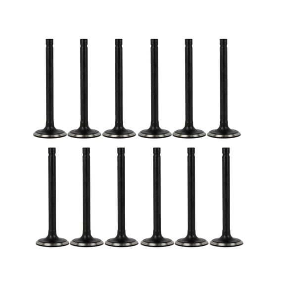 DNJ VK123104 Exhaust Intake Valve Kit Fits Cars & Trucks 1996-2014 Chevrolet, GMC, Isuzu, Oldsmobile V6 4.3L OHV 12V EV3104 X6 IV3104 X6