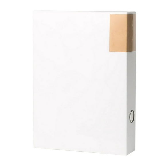 Letter Size Storage File Box Plastic Archives Case with Lid File Folder Organiser Document Storage Filing Box for Office