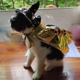 thumbnail image 3 of Halloween Cat Costume Cloak, Small Dog Halloween Wizard Cosplay Cape Hat Set,Magician Cloak Pet Sorcerer Costume Cape, 3 of 6