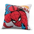 thumbnail image 1 of Funda de almohada decorativa Jay Franco Avengers Spiderman, 1 of 4