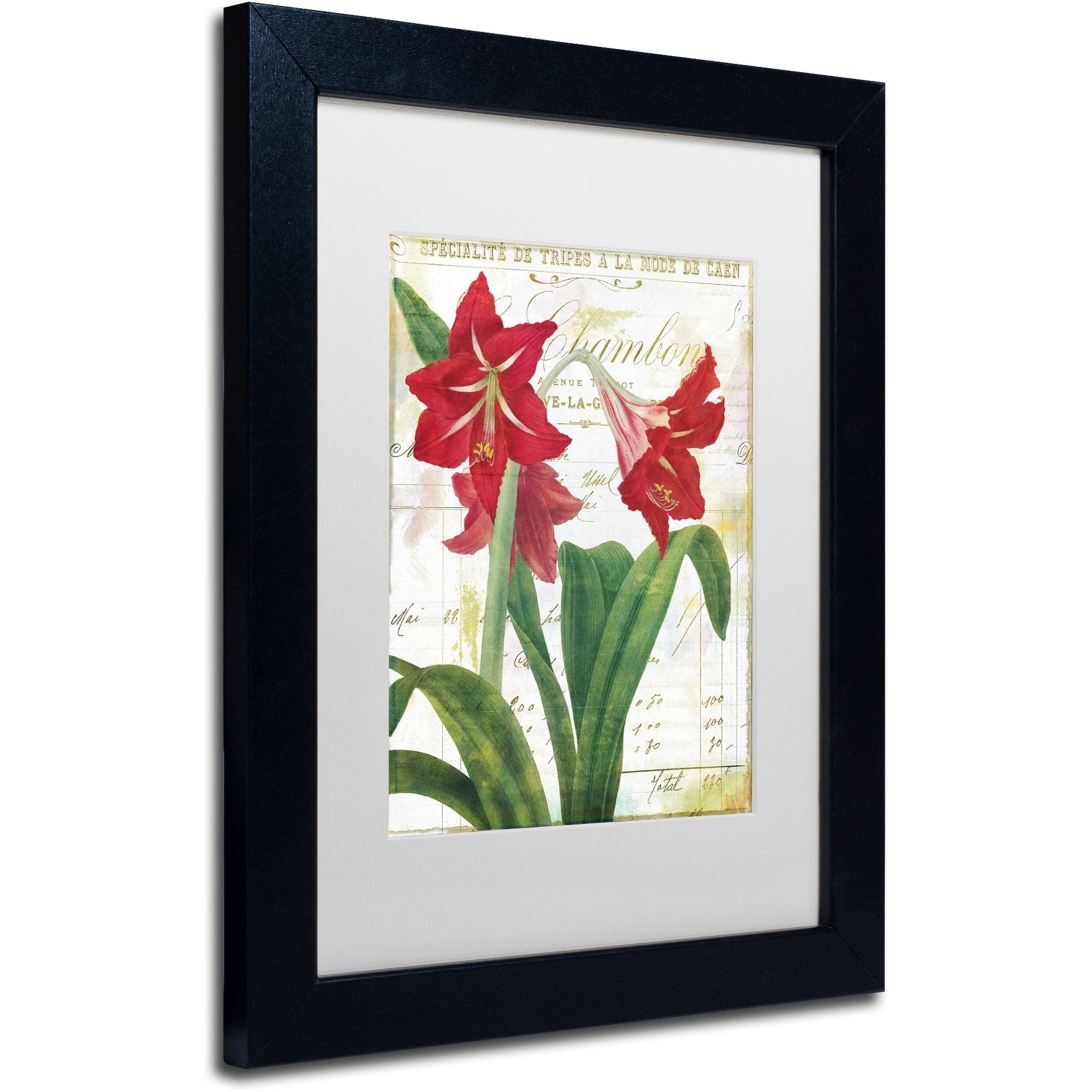 Trademark Fine Art "Peppermint Amaryllis" Canvas Art by Color Bakery White Matte, Black Frame