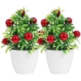 thumbnail image 5 of Here's a polished and professional product description based on your input:\n\n \n\n**2PCS Artificial Fruit Tree with Pot – Lifelike Miniature Bonsai, 5 of 5