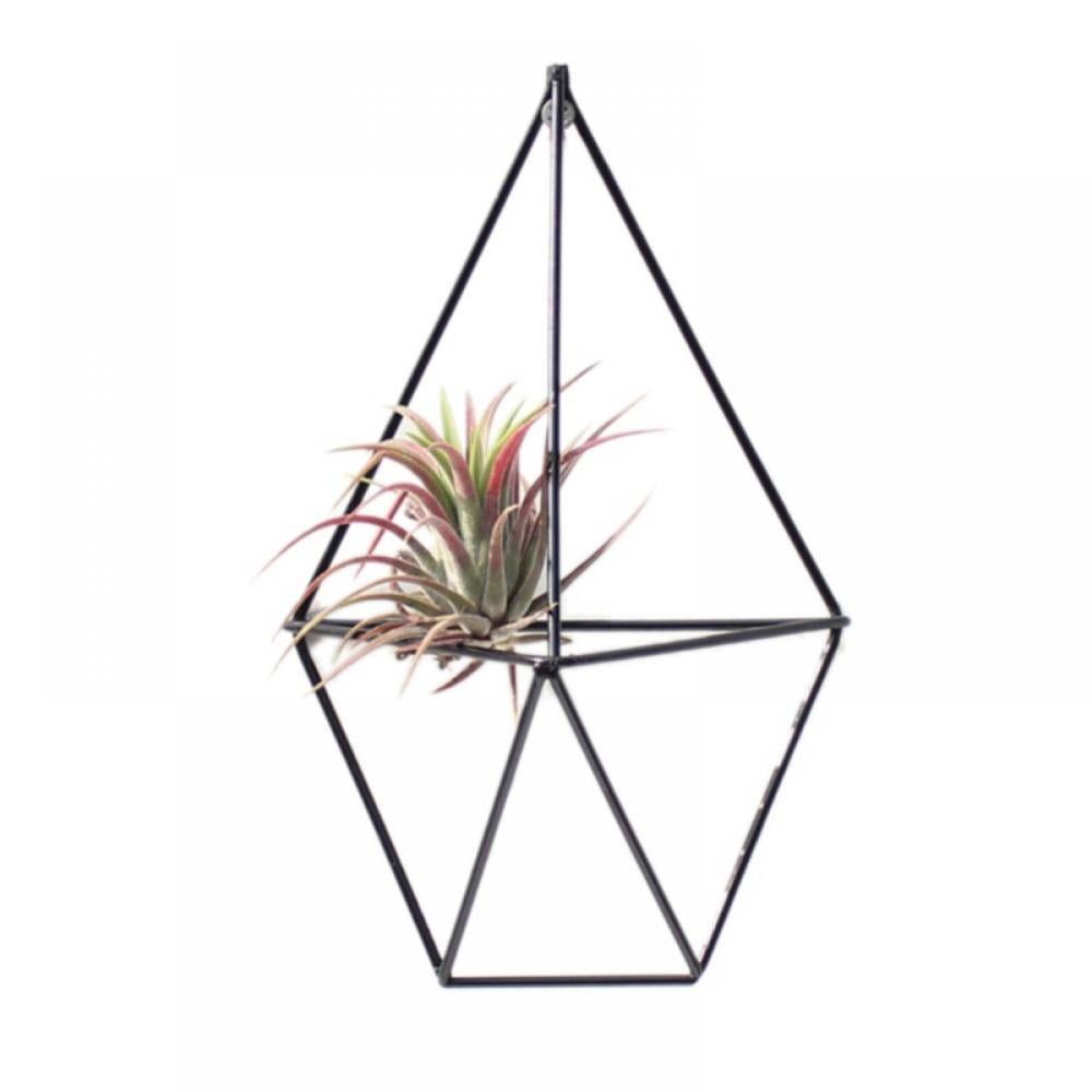 Hanging Tillandsia Air Plants Rack Metal Geometric Iron Art Rustic 