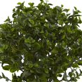 thumbnail image 3 of Nearly Natural 6860 28 Po Peperomia Plante UV Résistant - Intérieur et Extérieur, 3 of 3