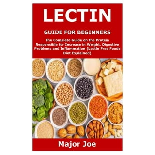 Lectin free dog clearance food