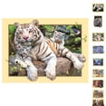 thumbnail image 4 of Animal Resina 5D DIY Diamante Pintura Bordado Punto de Cruz Imagen Decoración de la pared del hogar - L2005 Eigraketly JJ13343-01, 4 of 6