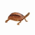 thumbnail image 1 of Figura de tortuga realista, modelo de PVC, tortuga radiada, 17,5 cm, 1 of 1