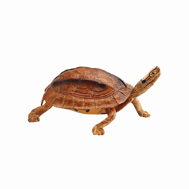 Figura de tortuga realista, modelo de PVC, tortuga radiada, 17,5 cm