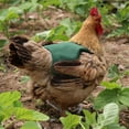 thumbnail image 7 of SLYNSHome Chicken Saddles for Hens,Chicken Apron Back Protector for Hens with Adjustable Strap Chicken Hen Mating Saddle - Green, 7 of 7