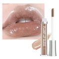 Lip Plumping Gloss Hydrating Nourishing Invigorating High Shine