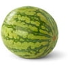 Organic Personal Sized Seedless Watermelon, each