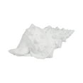 thumbnail image 6 of Conch Shell Sculpture for Home Decor - Coastal Resin Figurine for Bathroom, Office Shelf, and Coffee Table Display - Nautical Conch Accent for Living Room and Beach-Inspired Rooms - 5", White, 6 of 13