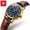 Brown and Blue, variant on Watches for Women Luxury Dress Analog Quartz Easy Read Digital Date Classic Luminous Brown Leather Strap Waterproof Female Wrist Watches Relojes para Mujer