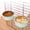 Green, variant on Crate Dog Bowl, Removable Stainless Steel Hanging Pet Cage Bowl Food & Water Feeder Coop Cup for Cat, Puppy, Birds, Rats, Guinea Pigs