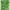 Green, variant on kayannuo 12 Strands 86 FT Artificial Lvy Leaf Vine Garland Fake Foliage Hanging Plants