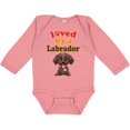 thumbnail image 3 of Inktastic Labrador Chocolate Lab Boys or Girls Long Sleeve Baby Bodysuit, 3 of 5