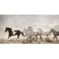 thumbnail image 2 of PHBurchett 32x18 White Modern Wood Framed Museum Art Print Titled - Open Range, 2 of 4