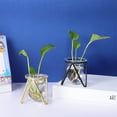 thumbnail image 3 of CTIRCHIU Clear Glass Planter Vase with Metal Stand for Home Decor 2Pcs, 3 of 10