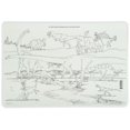 thumbnail image 4 of Painless Learning DIN-1 Dinosaurs Napperon - Lot de 4, 4 of 4