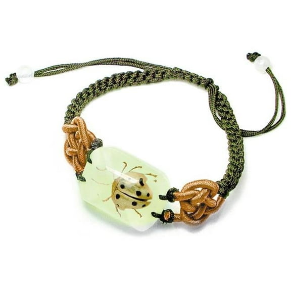 YL02 Real Bug Bracelet-Black & White Leaf Beetle