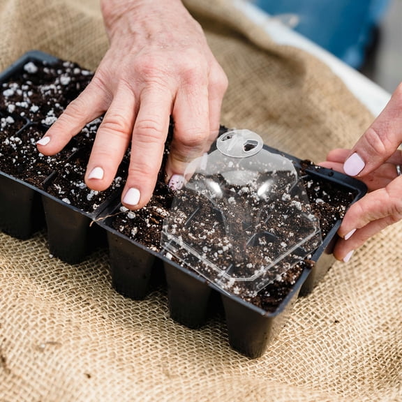 Hemoton 10pcs Transparent Reusable Plant Protector Covers Garden Cloche Domes for Flower Pot and