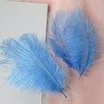 thumbnail image 3 of 50-Pack Floating Plume Feathers, 20-25cm Multicolor Natural Feathers for Wedding Centerpieces, DIY Hair Accessories & Craft Decorations, 3 of 3