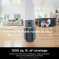 thumbnail image 6 of Shark Air Purifier for Home with Never Change HEPA Air Filter, 1300 sq. ft. for Powerful Multi-Room Purification, 5-Year Filter for Smoke, Captures 99.98% of Particles & Dust, HP301, 6 of 23