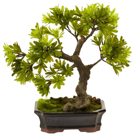 Nearly Natural 14" Podocarpus Artificial Plant with Mossed Bonsai Planter, Green