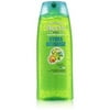 Garnier Fructis Recharge Shampoo Packaging