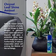 Pokon Chrysal Leaf-Shine 6 oz Spray