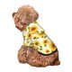 thumbnail image 5 of Balery European-style Pattern Sunflower Sudadera con Capucha para Perros Pequeños – Ropa para Mascotas, Disfraz para Perros y Gatos, Ideal para Fiestas y Cosplay-Small, 5 of 7
