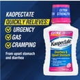 thumbnail image 6 of Kaopectate Extra Strength Anti-Diarrheal Upset Stomach Relief, Peppermint 11 fl oz, 6 of 10