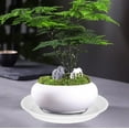 thumbnail image 2 of Plant Saucer Pot Tray 4 6 8 10 12 Inch, 6 Packs Plastic Flower Planter Saucers for Indoors Outdoors, Thick Heavy Sturdy Durable Plant Plate Water Catcher with Matte Non-Slip (12 Inch White), 2 of 7