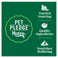 thumbnail image 2 of Nutro Wholesome Essentials ™ Kitten Dry Cat Food - Natural, Chicken & Brown Rice, 3 Lb, 2 of 7