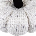 thumbnail image 7 of Northlight Windowpane Knitted Fall Harvest Pumpkin with Iridescent Thread - 7" - White, 7 of 7