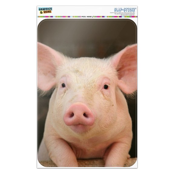 Little Pig Piggy Home Business Office Sign