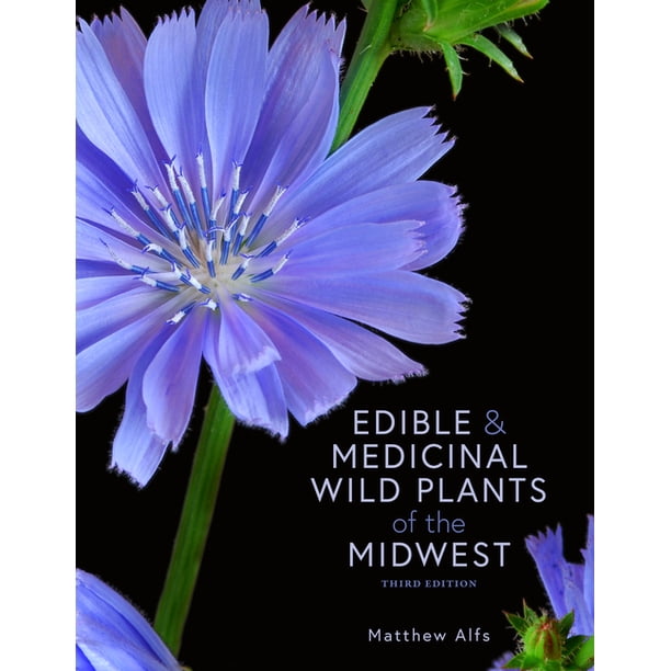 Edible and Medicinal Wild Plants of the Midwest (Paperback) Walmart