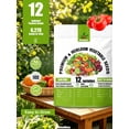 thumbnail image 3 of RitualBoxy 12 Vegetable Seed Variety Pack – 6,000+ Non-GMO Seeds, Heirloom, High Germination Rate – Home Garden Seed for Hydroponic, Indoor and Outdoors Gardening, 3 of 6
