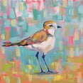 thumbnail image 3 of Vertentes, Jeanette 20x20 Black Modern Framed Museum Art Print Titled - Coastal Plover III, 3 of 5