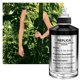 thumbnail image 2 of Perfume Maison Margiela Réplica Alma del bosque, 100 ml, 2 of 7