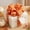 C, variant on Hvot&aat Fall Wired Edge Ribbon 2.5in x 5 Yards Pumpkin Maple Gingham Orange Ribbon Thanksgiving Harvest Wreath Bow Gift Wrapping Farmhouse Front Door Decor
