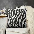 thumbnail image 2 of Modern Abstract Art Stripes Throw Pillow Covers Black and White Vintage Animal Decorative Pillow Covers Zebra Tiger Cushion Cases Home Decor for Sofa Bed, 2 of 5