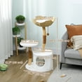 thumbnail image 3 of PawHut 40" Cat Tree for Indoor Large Adult Cats with Real Wood Posts, 3 of 10