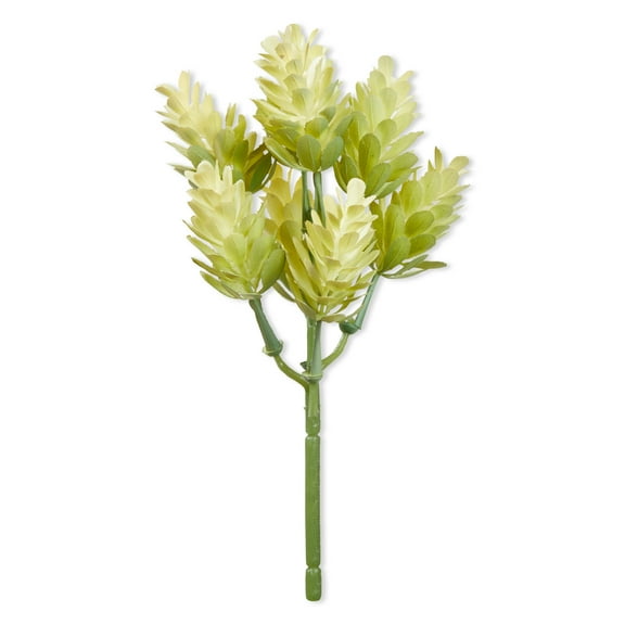 Mainstays Artificial Hops Pick 2.5 Inch x 6.4 Inch Cream