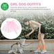 thumbnail image 5 of Vestido de encaje para perro, elegante disfraz de princesa para perro, vestido de malla de encaje para mascota, para perritas, atuendo de cumpleaños para perro, vestido rosa, suministro para perros, 5 of 7