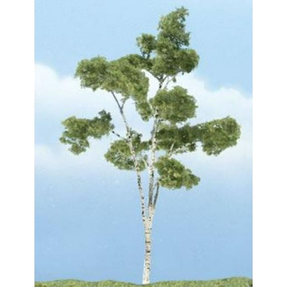 Premium Trees - Paper Birch (4") New