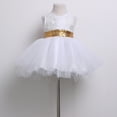 thumbnail image 2 of Little Girls TuTu Style Dress, Sleeveless Round Neck Hollow Back Big Bow Dress, 2 of 5