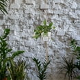 thumbnail image 6 of 2 Pcs Hanging Basket Net Bag Flower Plant Hanger Jute Hangers Indoor/Outdoor, 6 of 6