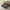 Grey, variant on 55" Sleeper Sofa Bed, Modern Luxury Wood Daybed with Pillow, Square Arm and Removable Cushion Cover, Quality Corduroy Upholstery Sofa Couch for Living Room, Office, Bedroom, Beige