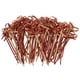 thumbnail image 1 of 100 palitos de comida, palillos de dientes para sándwich, palitos de bambú para frutas, postres y más., 1 of 5